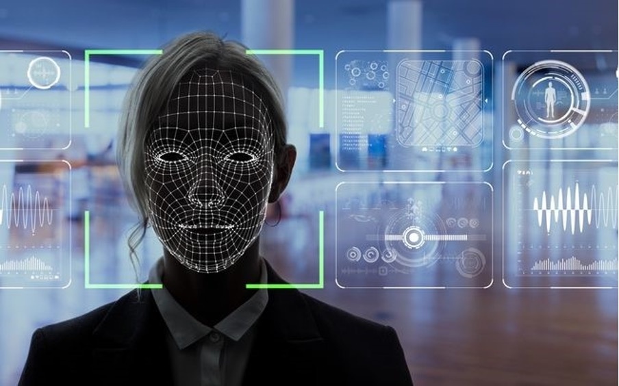 Gan 4.000 ten mien gia mao bi phat hien chi trong 3 thang hinh anh