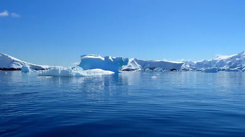 Robot 'di lac' mang den ket qua bat ngo hinh anh