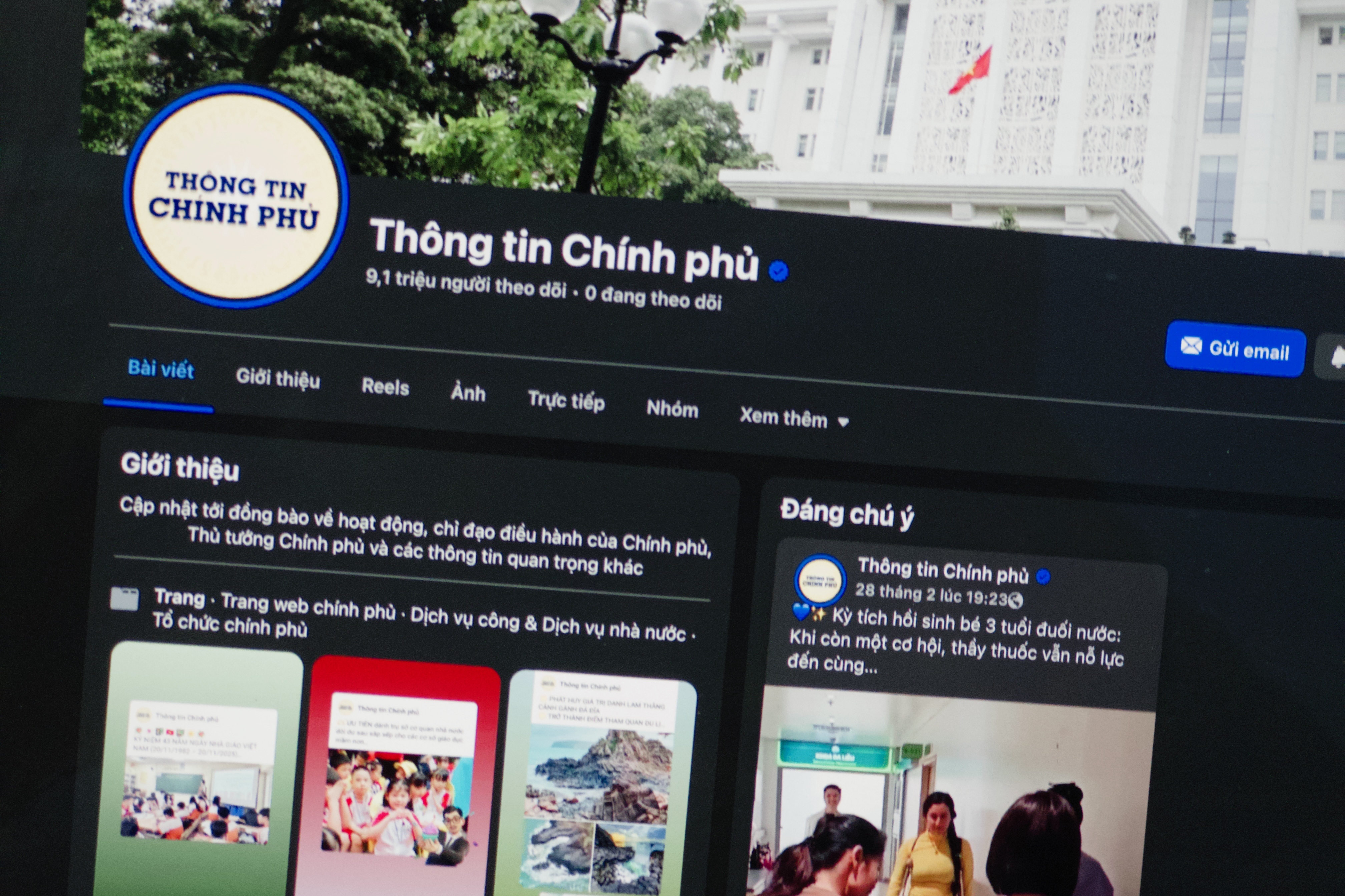 Trang Thong tin Chinh phu bi gia mao hinh anh