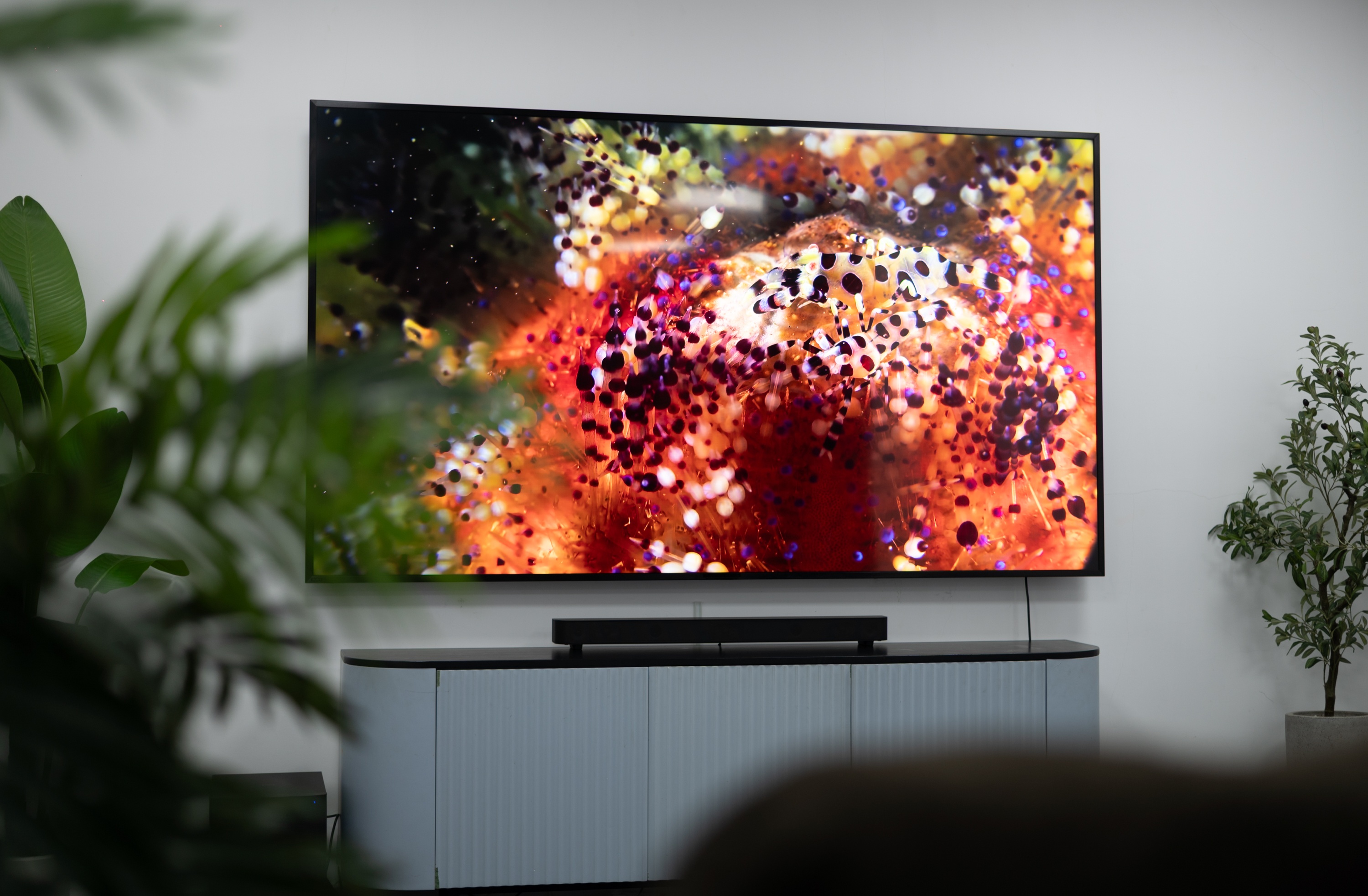 Sony Bravia 5 anh 4