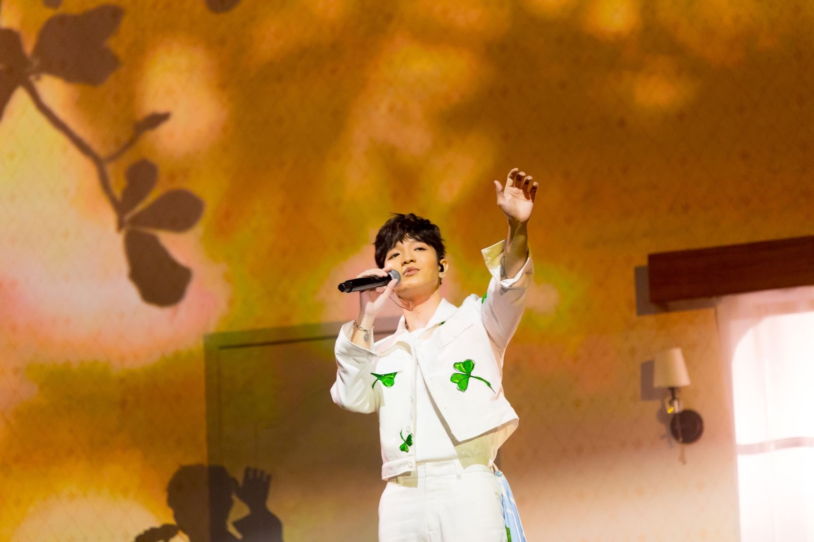 Live show nghe si Viet anh 4