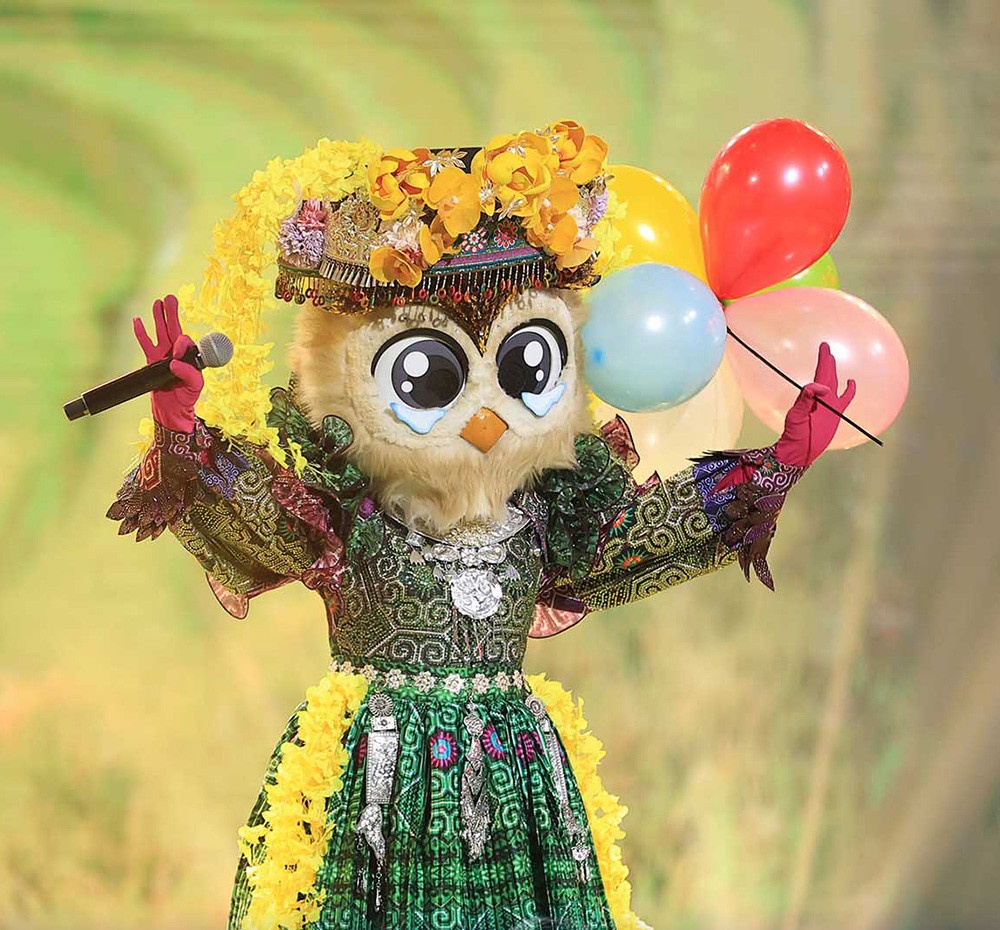 The Masked Singer anh 1