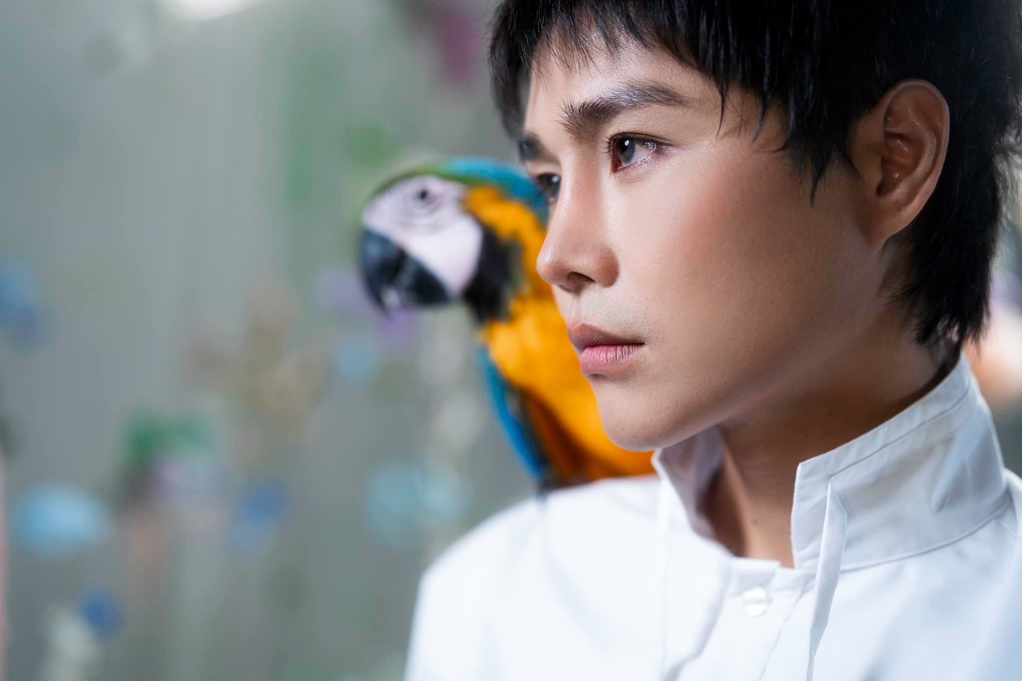 Tang Duy Tan chua du luc hinh anh