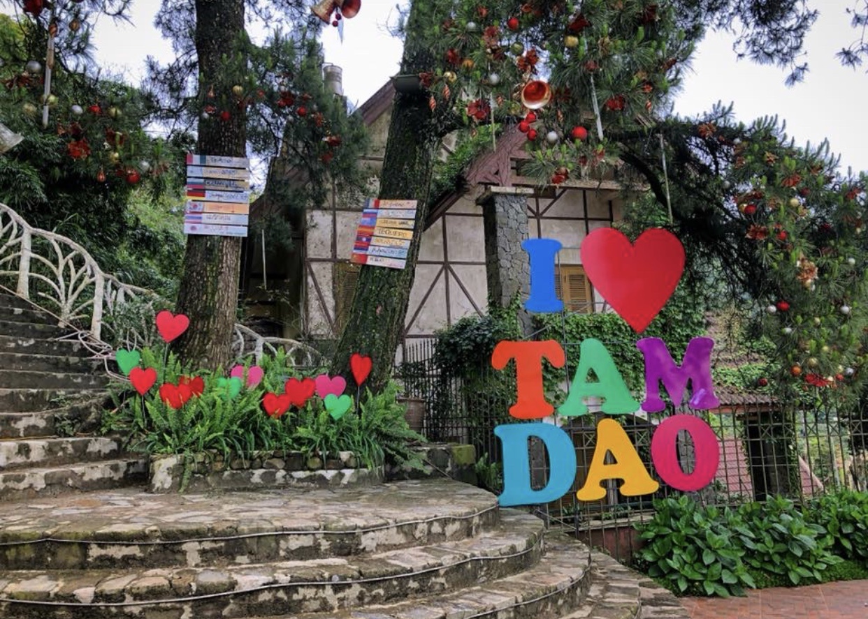 ca phe tam dao anh 13