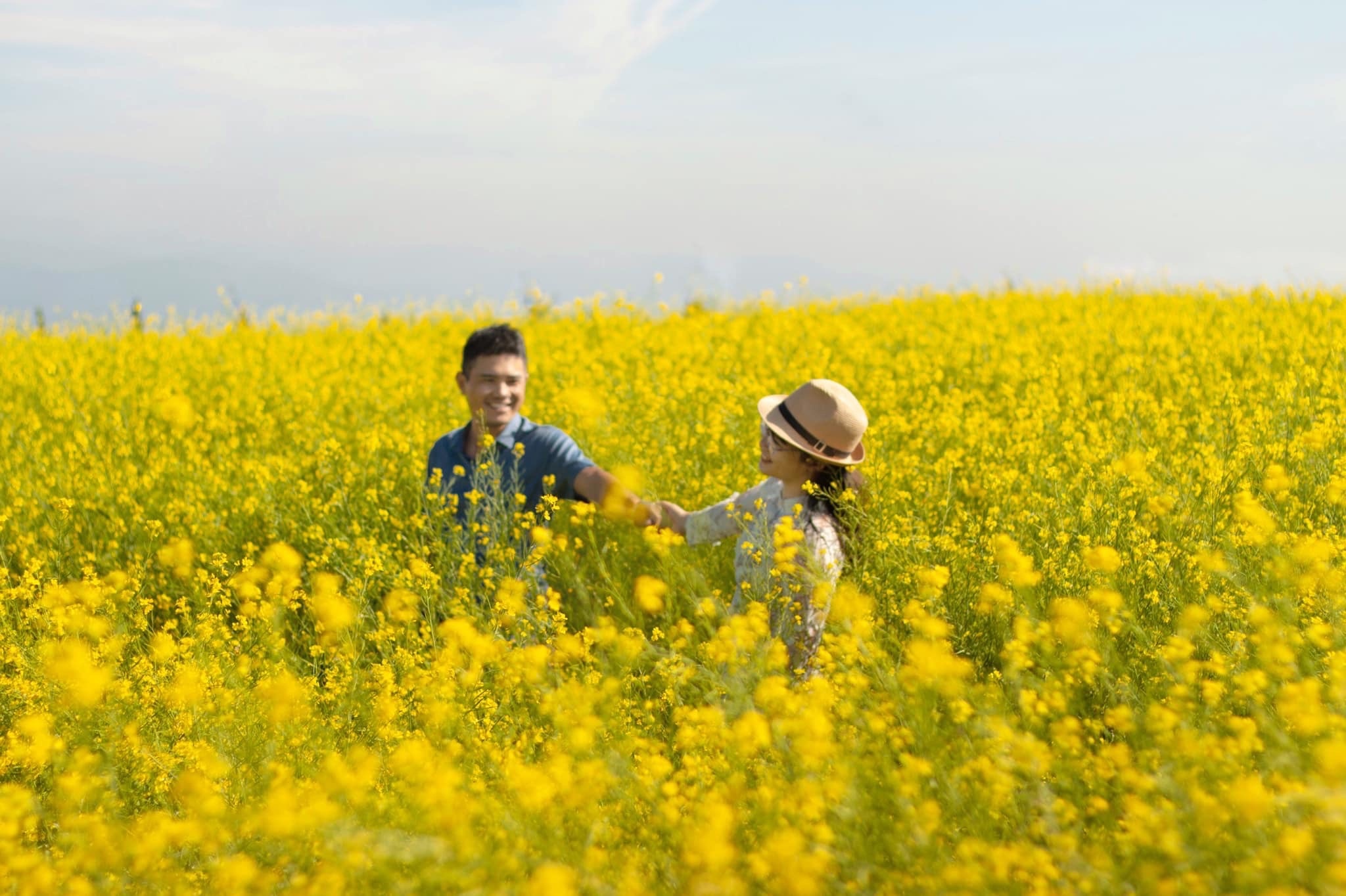 Canh dong hoa cai thu hut gioi tre check-in o Da Lat hinh anh