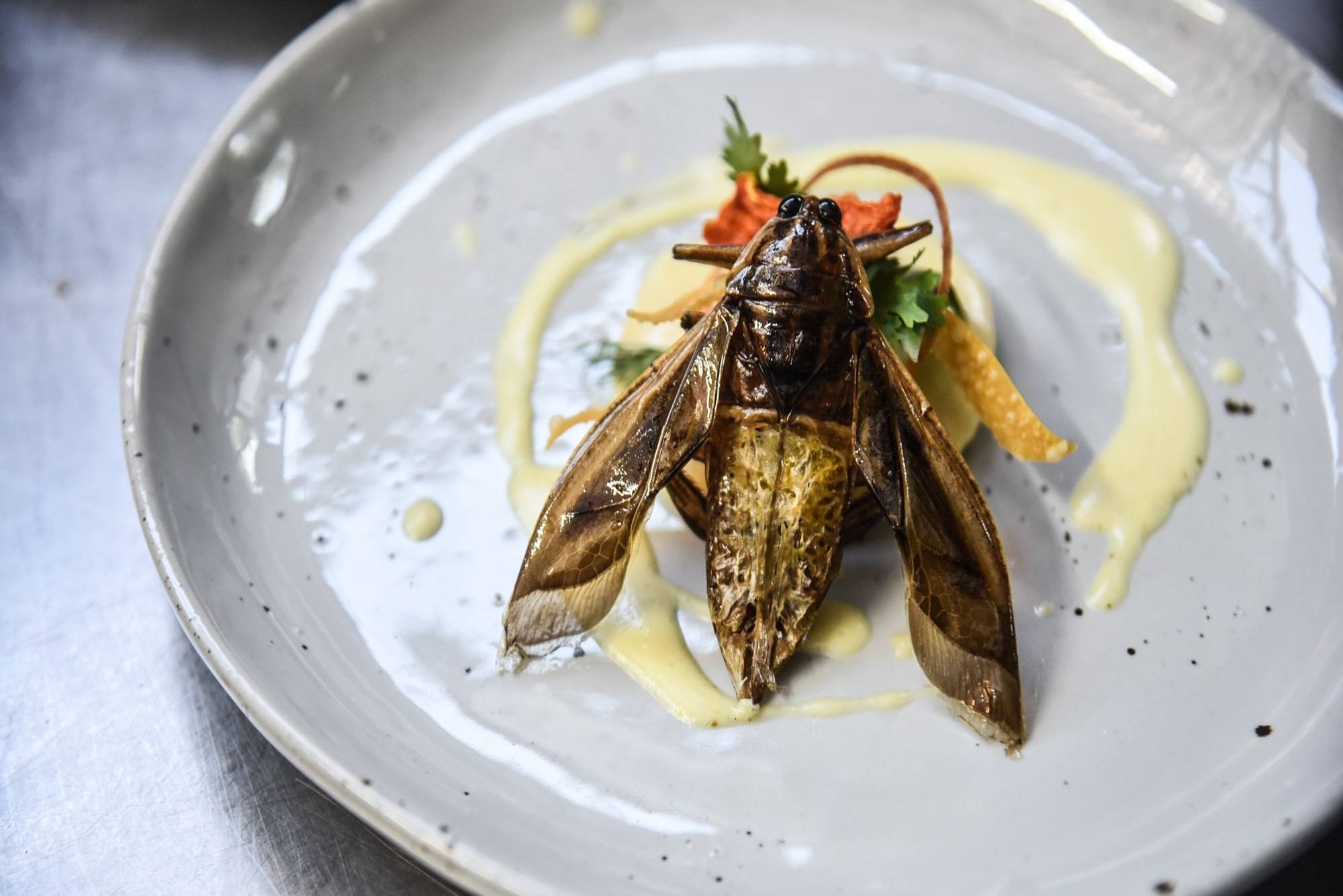 Mon an tu con trung o nha hang hang sang Thai Lan hinh anh