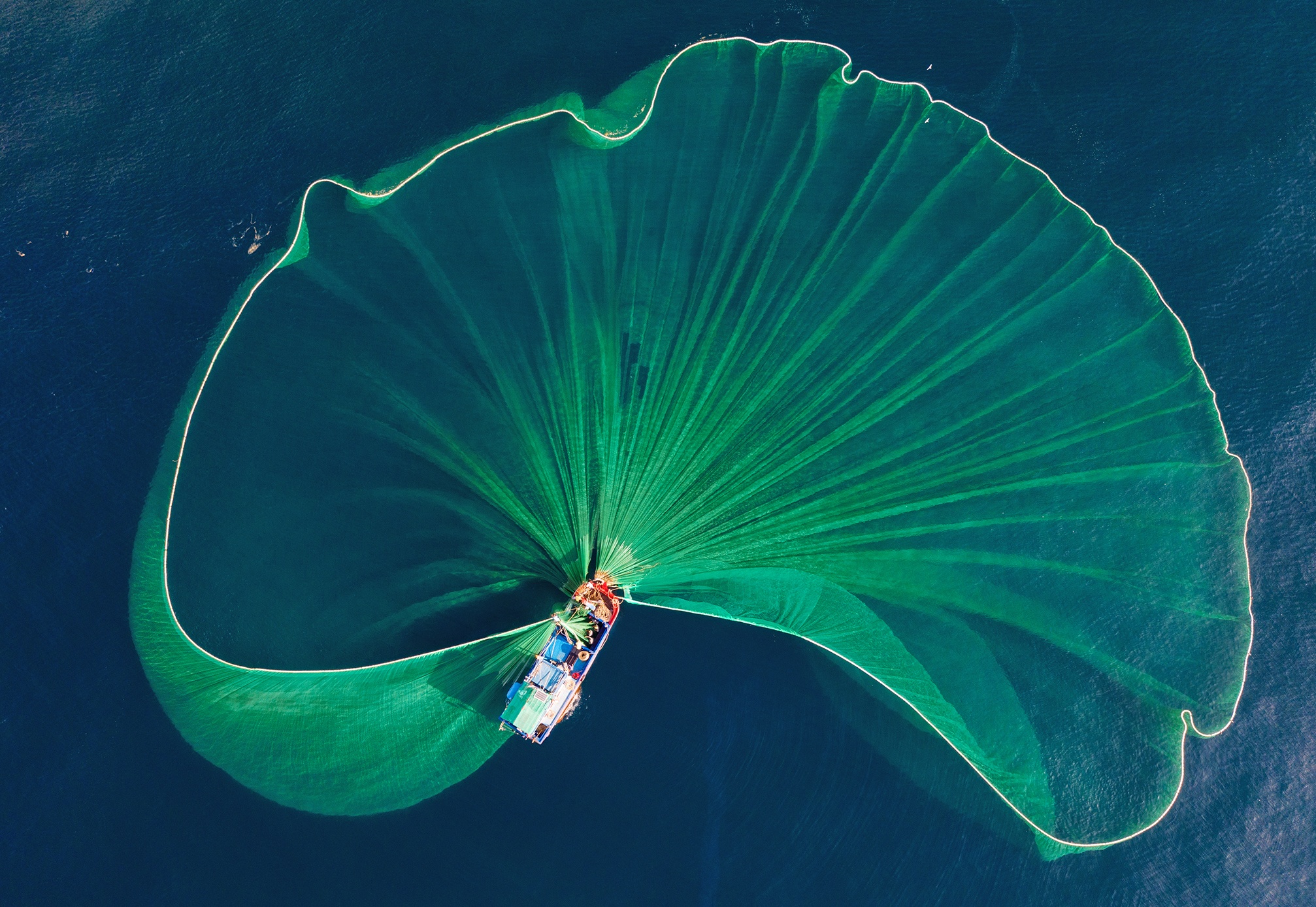 Anh danh ca bang luoi vay duoc khen ngoi tren 5 bao nuoc ngoai hinh anh