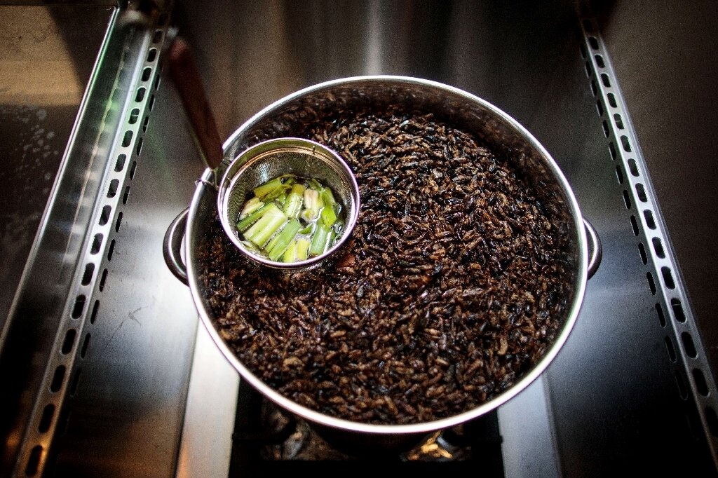 Mi ramen co nuoc dung lam tu 10.000 con de hinh anh