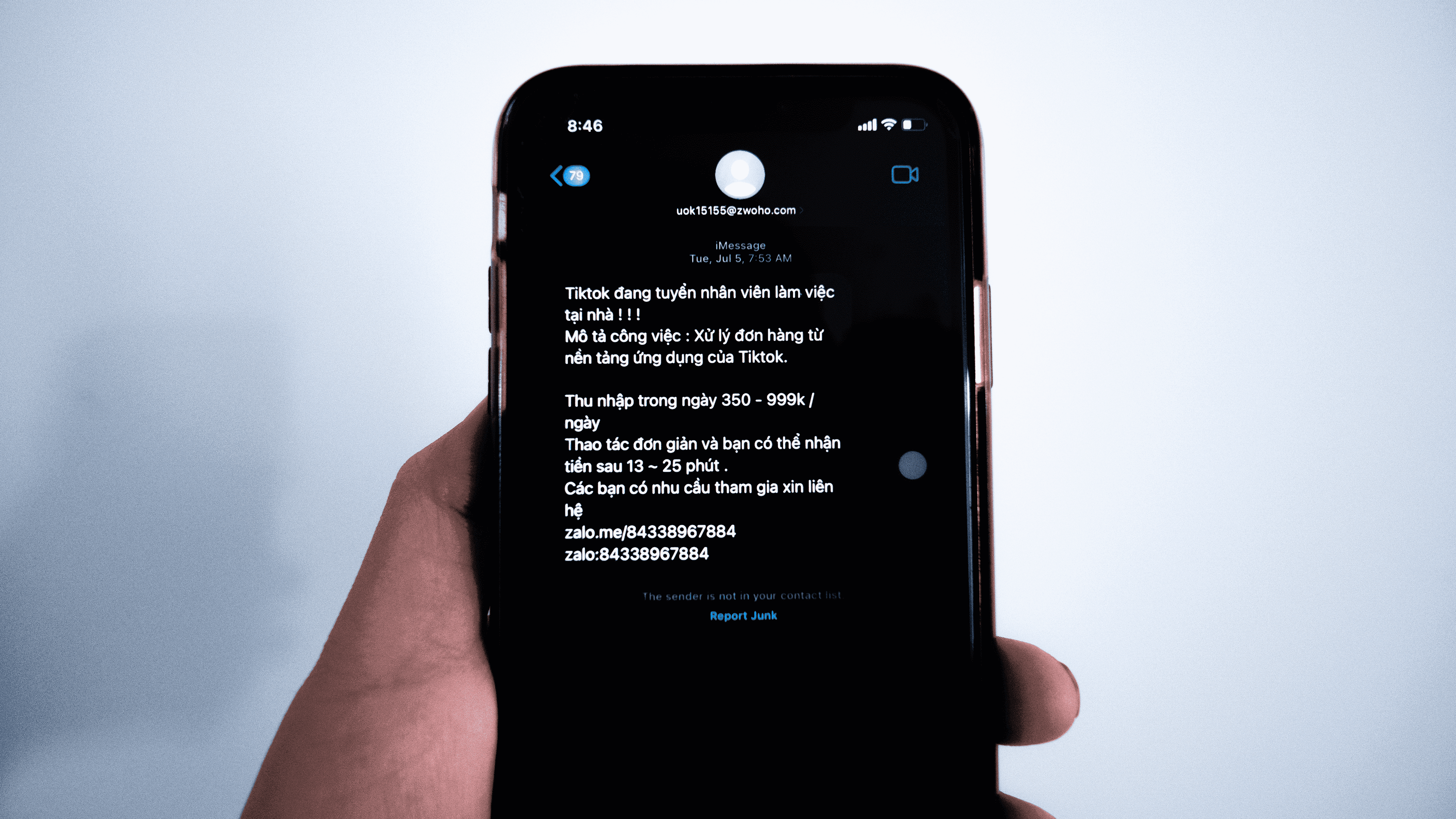 cac hinh thuc lua dao online anh 2