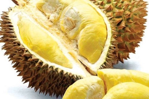 Khi nao sau rieng tro thanh doc duoc? hinh anh