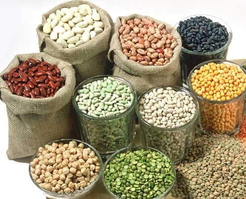 Ăn nhiều đậu đỗ là cách tốt nhất để bổ sung vitamin B1 cho thai phụ.