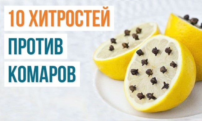 3. Chanh với đinh hương   Cắt quả chanh làm đôi và chèn ít đinh hương vào các múi chanh, rồi đặt chanh cạnh giường ngủ. Bạn có thể ngủ với cửa sổ để mở. Hương thơm dễ chịu này sẽ xua đuổi muỗi hoàn toàn.