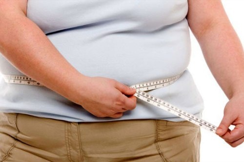 Phat hien co che hoat dong cua gen gay beo phi hinh anh