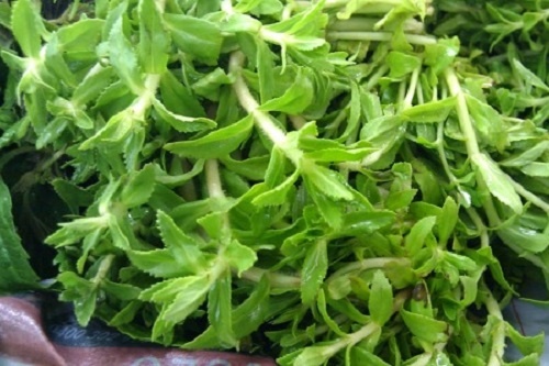 Loai bo soi than ra ngoai de dang khong can phau thuat hinh anh