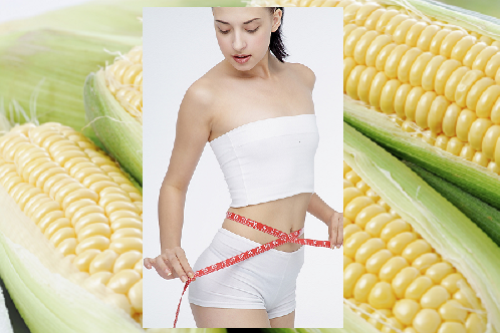 Tuyet chieu giam beo nho an ngo hinh anh