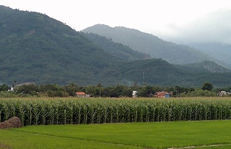 “Làng ung thư” Mê Pu dưới chân núi Tà Pứa. Ảnh: PHƯƠNG NAM