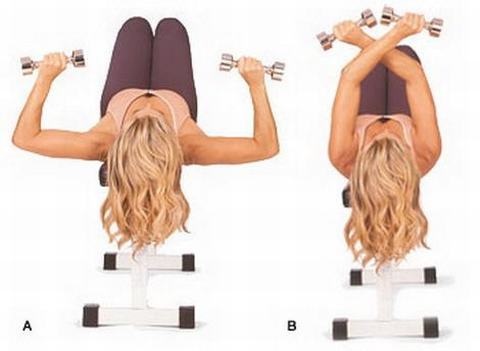 Nâng tạ đúng cách giúp vòng 1 căng tròn đầy sức sống. 