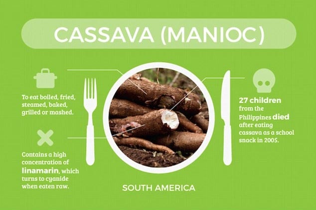 Sắn (khoai mì): Sắn sẽ là món ăn an toàn sau khi đã được luộc, rán, hấp hoặc nghiền nhừ rồi nấu chín. Tuy nhiên, ăn sắn sống hoặc chưa chế biến kỹ có thể nguy hiểm, vì loại củ này chứa hàm lượng lớn linamarin, chất sẽ chuyển hóa thành cyanide độc hại khi ăn sống. Năm 2005, 27 trẻ em ở Philippines từng mất mạng sau khi ăn sắn ở trường.