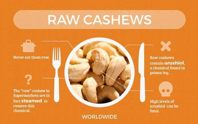 Hạt điều sống: Hạt điều đóng gói bán ở các siêu thị đã được hấp và sơ chế để loại bỏ các hóa chất độc hại, chúng không phải là hạt điều sống. Ở trạng thái sống, hạt điều chứa urishol - một chất độc cũng được tìm thấy ở cây trường xuân.