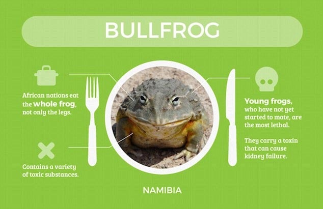 Ễnh ương: Khác với người Pháp chỉ 