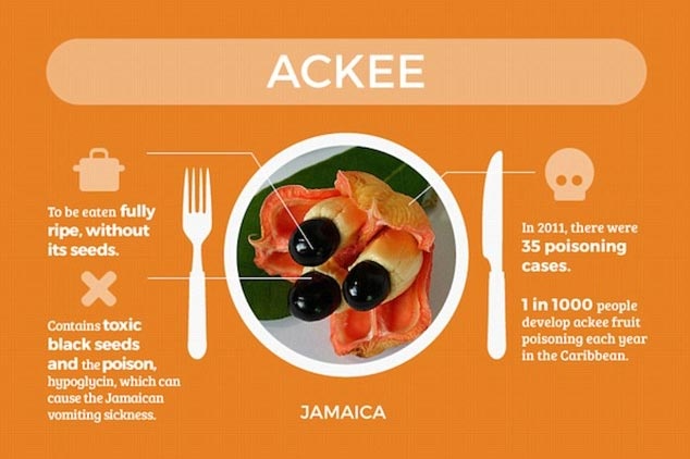 Quả Ackee: Chúng ta chỉ nên ăn quả ackee của Jamaica khi chúng đã chín mọng và được loại bỏ hạt. Loại quả này chứa các hạt đen mang độc tố và chất độc hypoglycin có thể gây hội chứng nôn mửa Jamaica. Năm 2011, đã có 35 trường hợp bị ngộ độc vì ăn quả ackee.