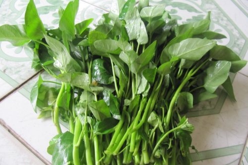 Rau muong - Thuoc thanh nhiet, luong huyet hinh anh