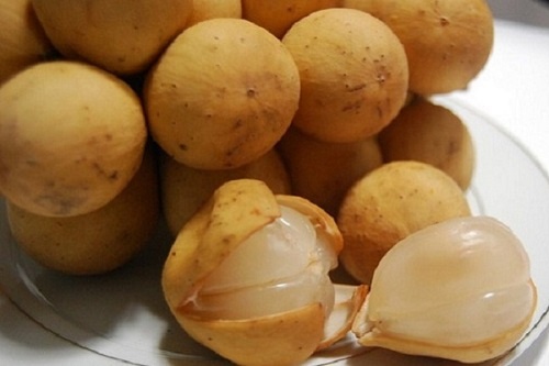 Quả bòn bon có nhiều giá trị cho sức khỏe. Ảnh TL