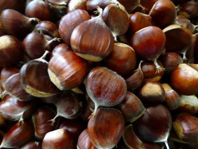 Hạt dẻ vừa là thực phẩm thơm ngon vừa là vị thuốc quý dùng để chữa bệnh