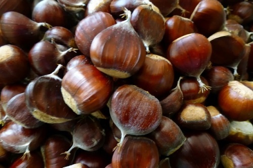 Cong dung tuyet voi cua hat de ban nen biet hinh anh