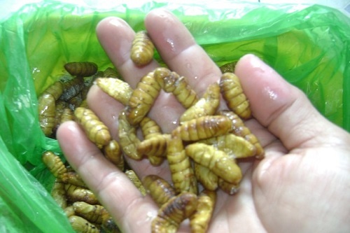 Nhung sai lam can tuyet doi tranh khi an nhong tam hinh anh