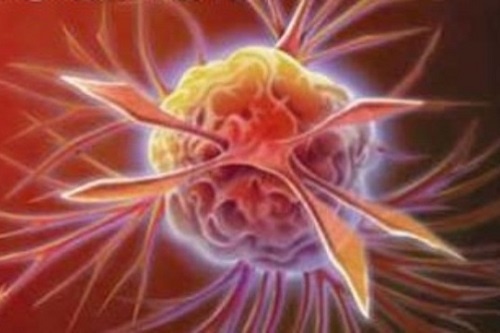 Hieu biet moi ve cac chat gay ung thu pho bien hinh anh