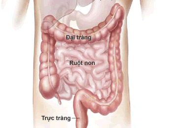 10 can benh ung thu gay tu vong hang dau the gioi hinh anh