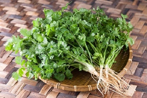 8 cong dung khong ngo cua rau mui voi suc khoe hinh anh