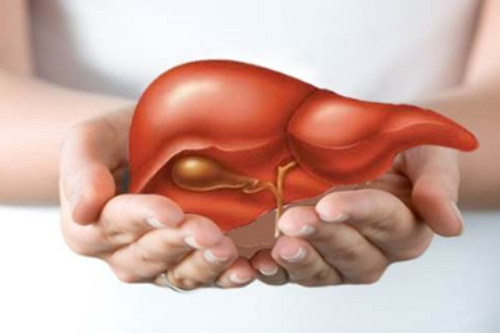 'Ve si' cua la gan hinh anh