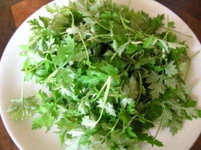 Ngai cuu: Vi thuoc quy cho phai dep hinh anh