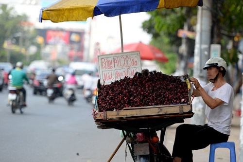 Hoa atiso do khong phai than duoc hinh anh