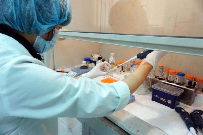 Hy vọng đến năm 2017 - 2018 Việt Nam sẽ sản xuất được vaccine 6 trong 1, đến năm 2020 thương phẩm sẽ được đưa ra thị trường cho người dân sử dụng.