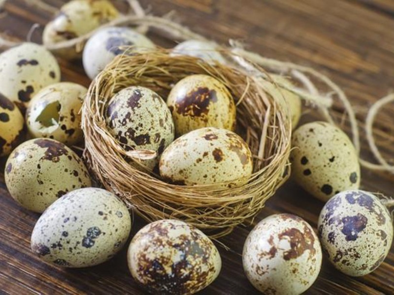 Trung cut - Thuoc bo quy hinh anh