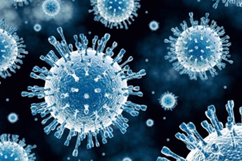 Virus viem gan C - sat thu tham lang hinh anh