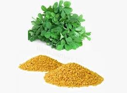 Hat co ca ri giup tri mui hoi co the hinh anh