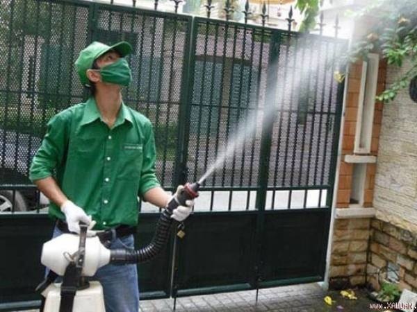 Ngung su dung Pyriproxifen neu lien quan den benh dau nho hinh anh