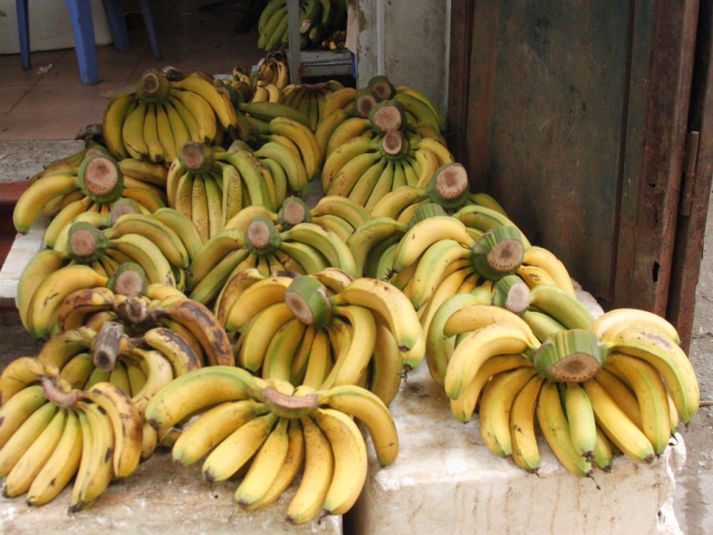 Chuoi chin bang huong anh 2