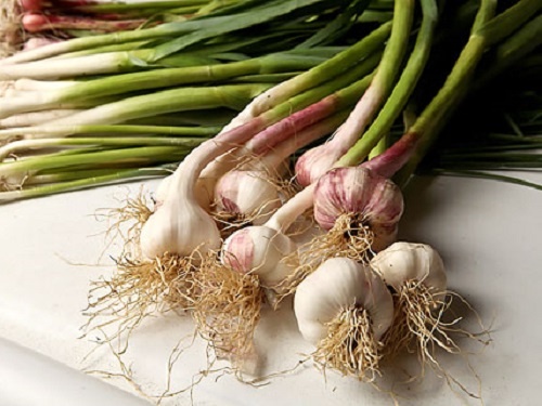 10 thuc pham mua xuan tot cho suc khoe hinh anh