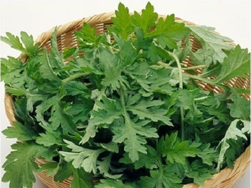 Bài thuốc chữa bầm tím ảnh 1 Bai thuoc chua bam tim anh 1