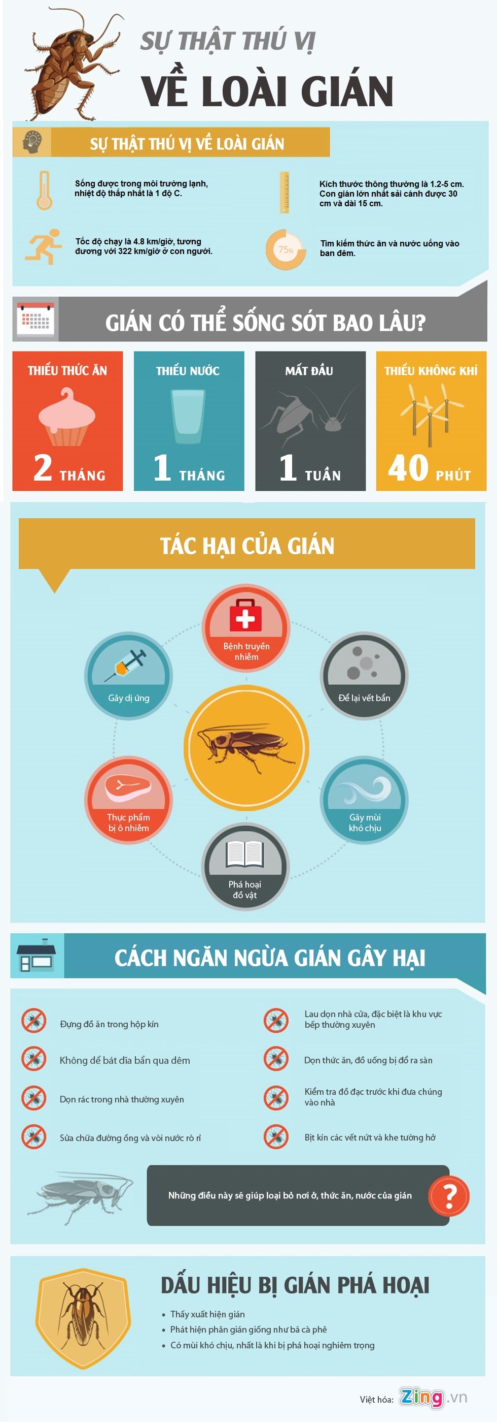 Diet gian khong can hoa chat anh 1