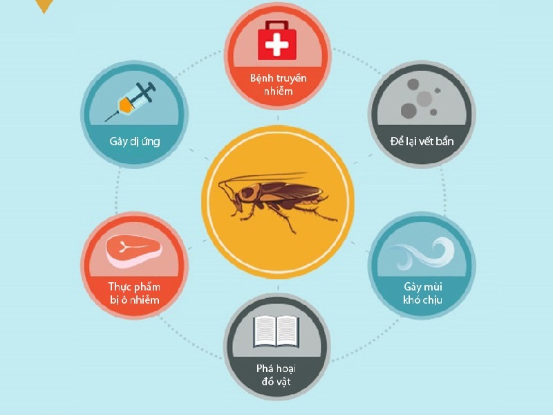 Tac hai cua gian va cach phong tranh hinh anh