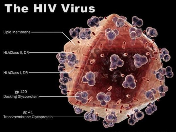 Lieu phap dao phan tu hy vong dieu tri dut diem HIV/AIDS hinh anh