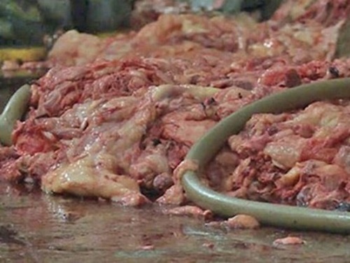 Ung thu co nguyen nhan tu thuc pham ban anh 1