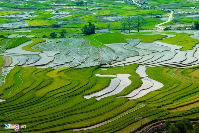 Nam Du lich quoc gia 2017 anh 1