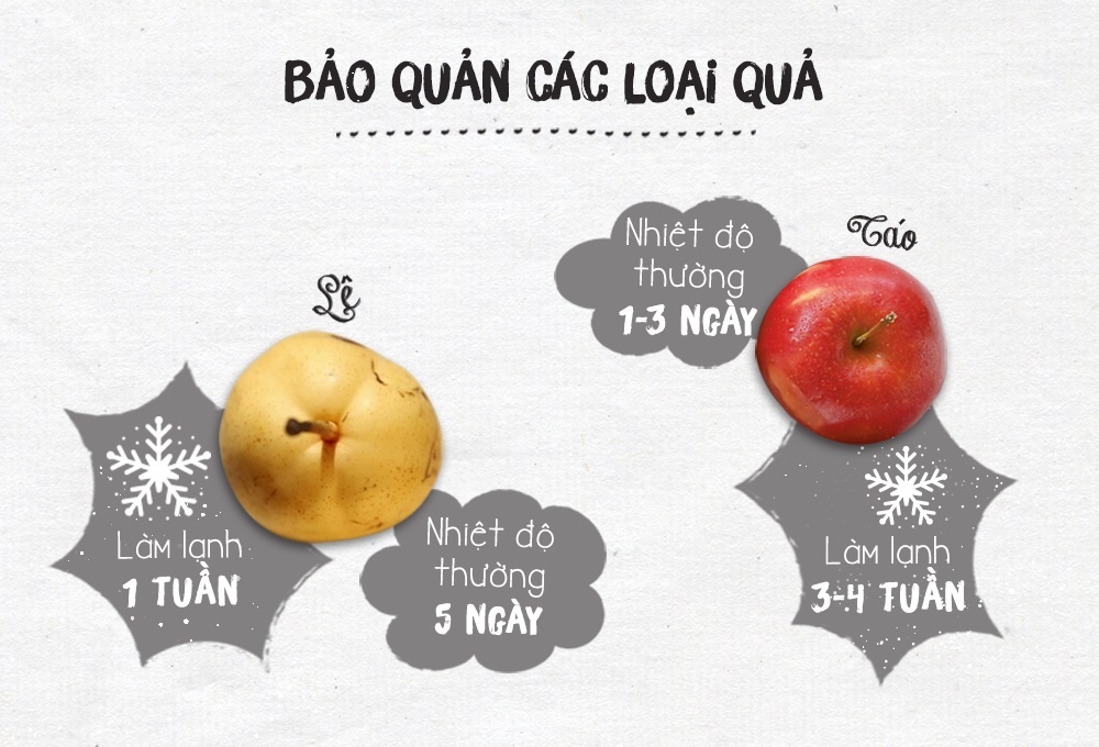 Bảo quản rau củ quả ảnh 1 Bao quan rau cu qua anh 1